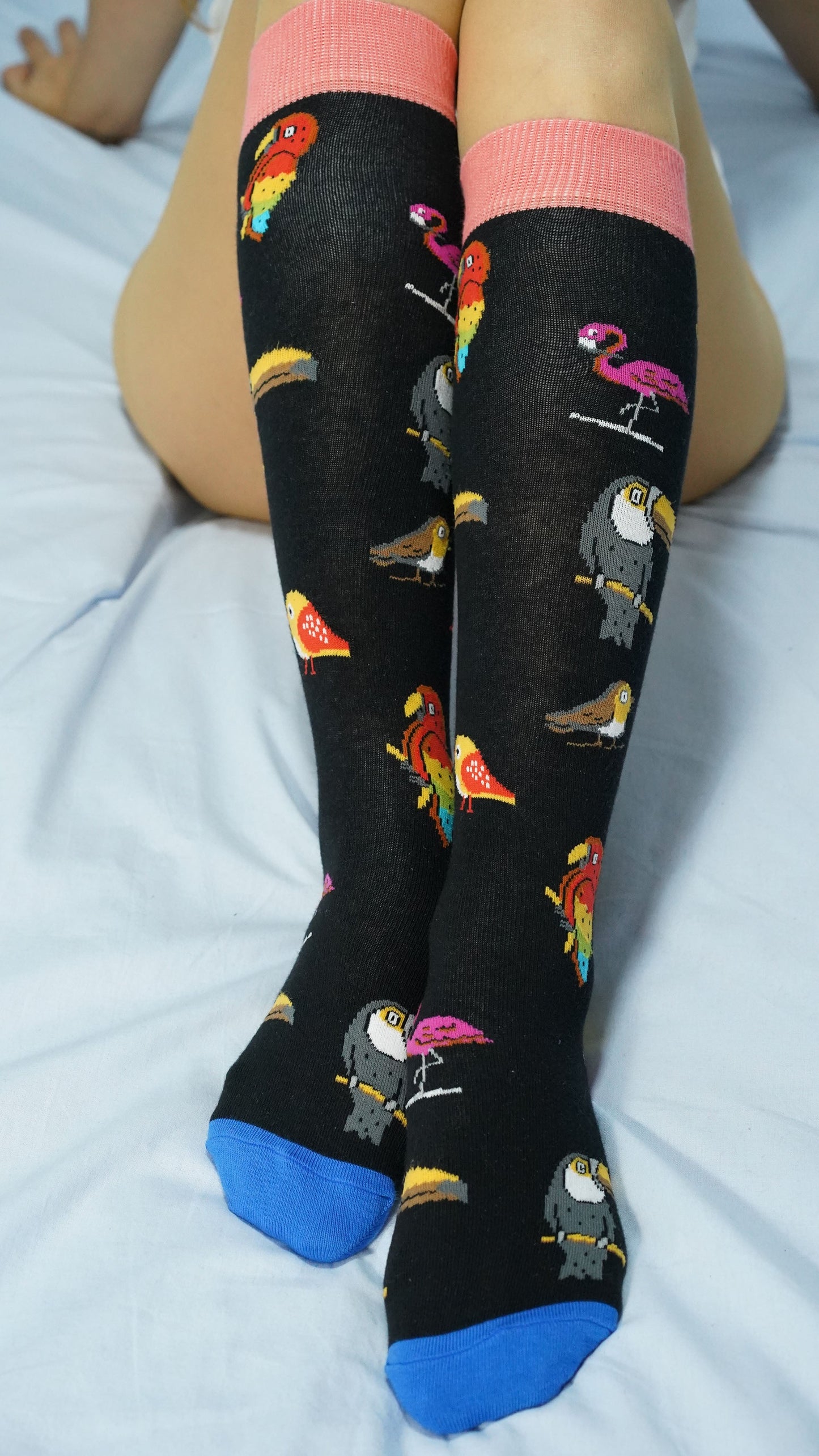 Women's Wildlife Knee High Socks Set